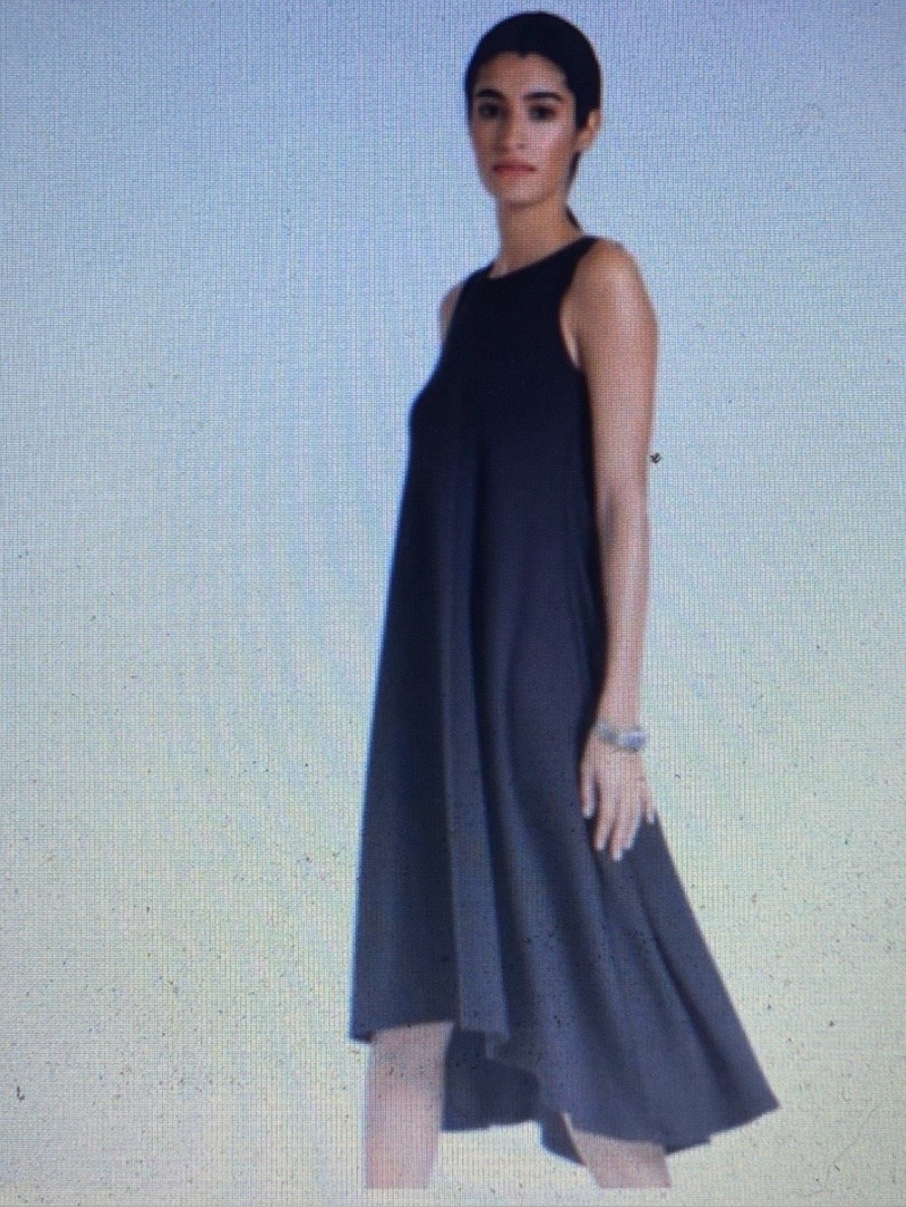 Marcella NYC Black Sleeveless A-Line Dress